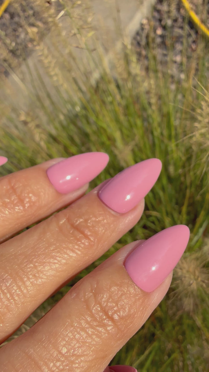 Prune It Up (All-In-One-Gel)