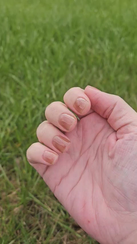 Sheer Brilliance (Gummy) (Gel)