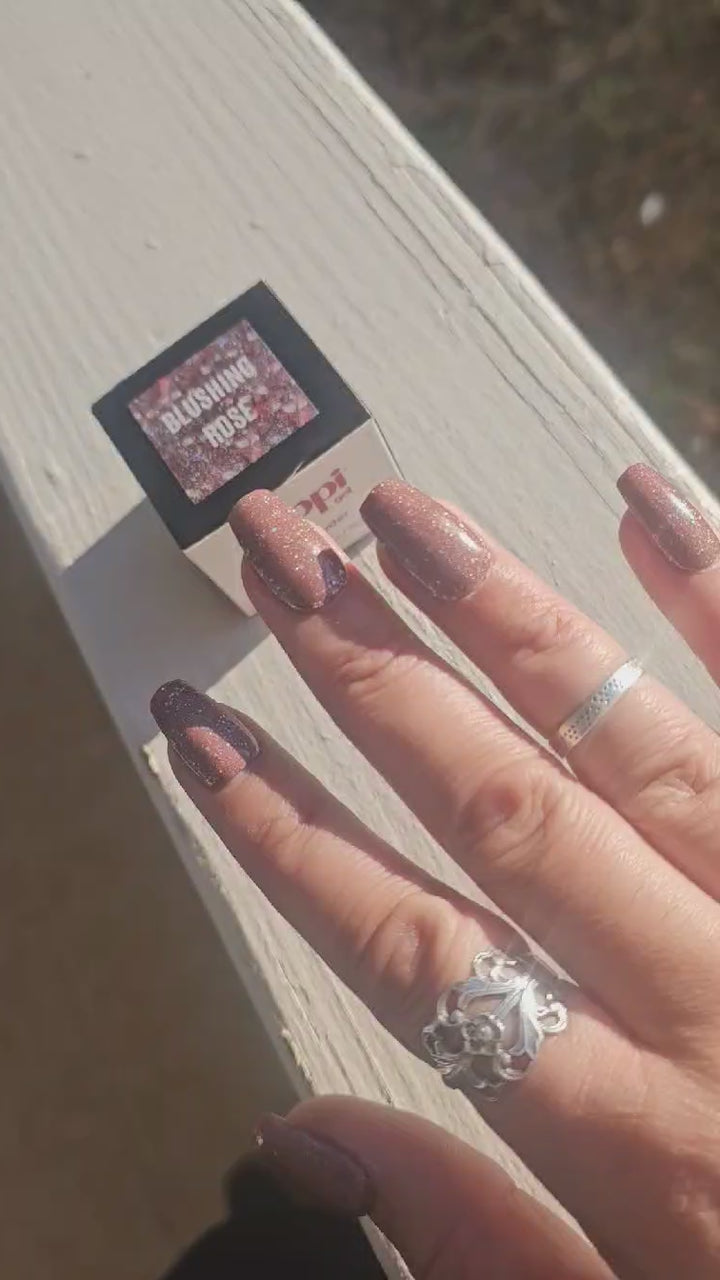 Day 12 - Blushing Rose