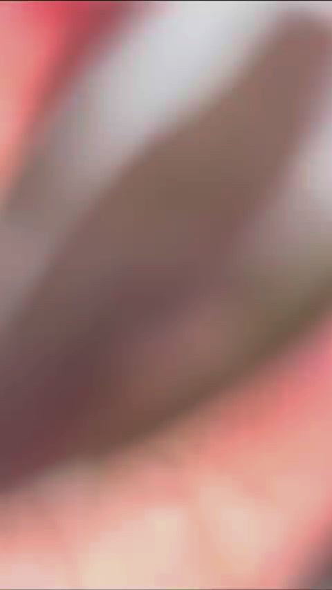 Toasty Tips (All-In-One-Gel)