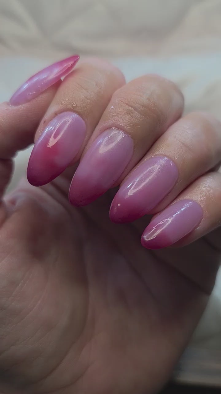 Reindeer Wishes (Temp)