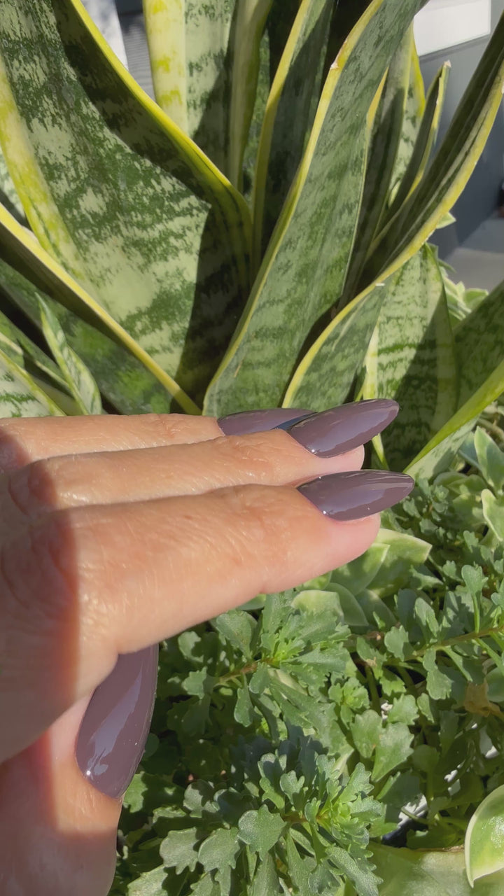 Fig & Fudge (All-In-One-Gel)