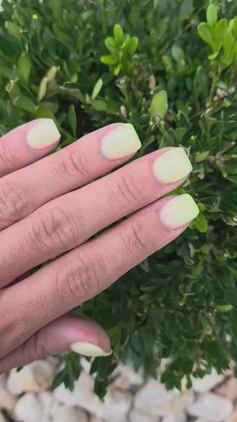 Lemon Drop (Builder Gel)