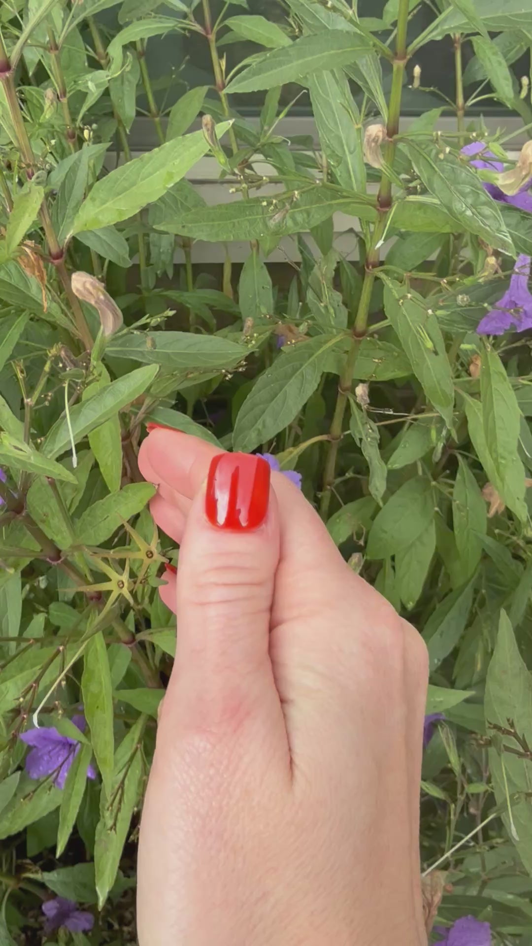 Molton Mood (All-In-One-Gel)