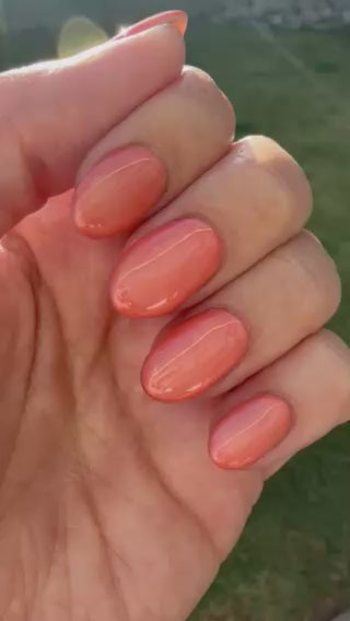 Watermelon Splash (Cat Eye Gel / Temp)