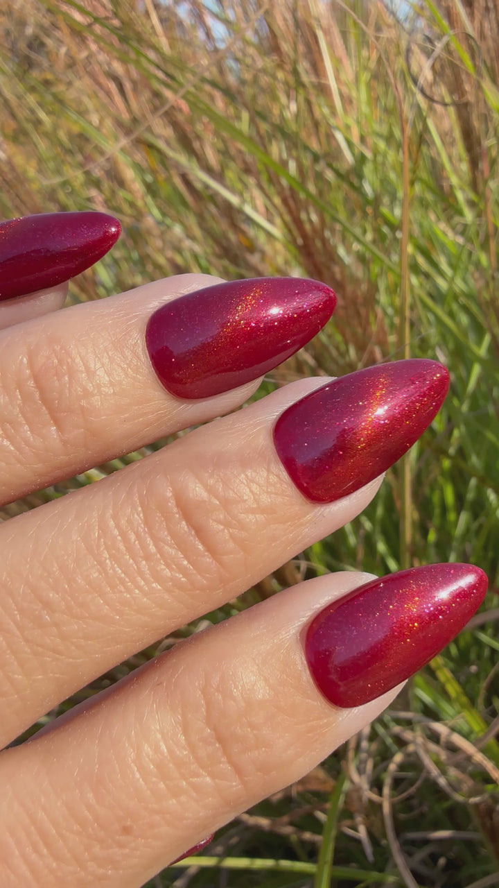 Santa's Suit (Magnetic) (Gel)