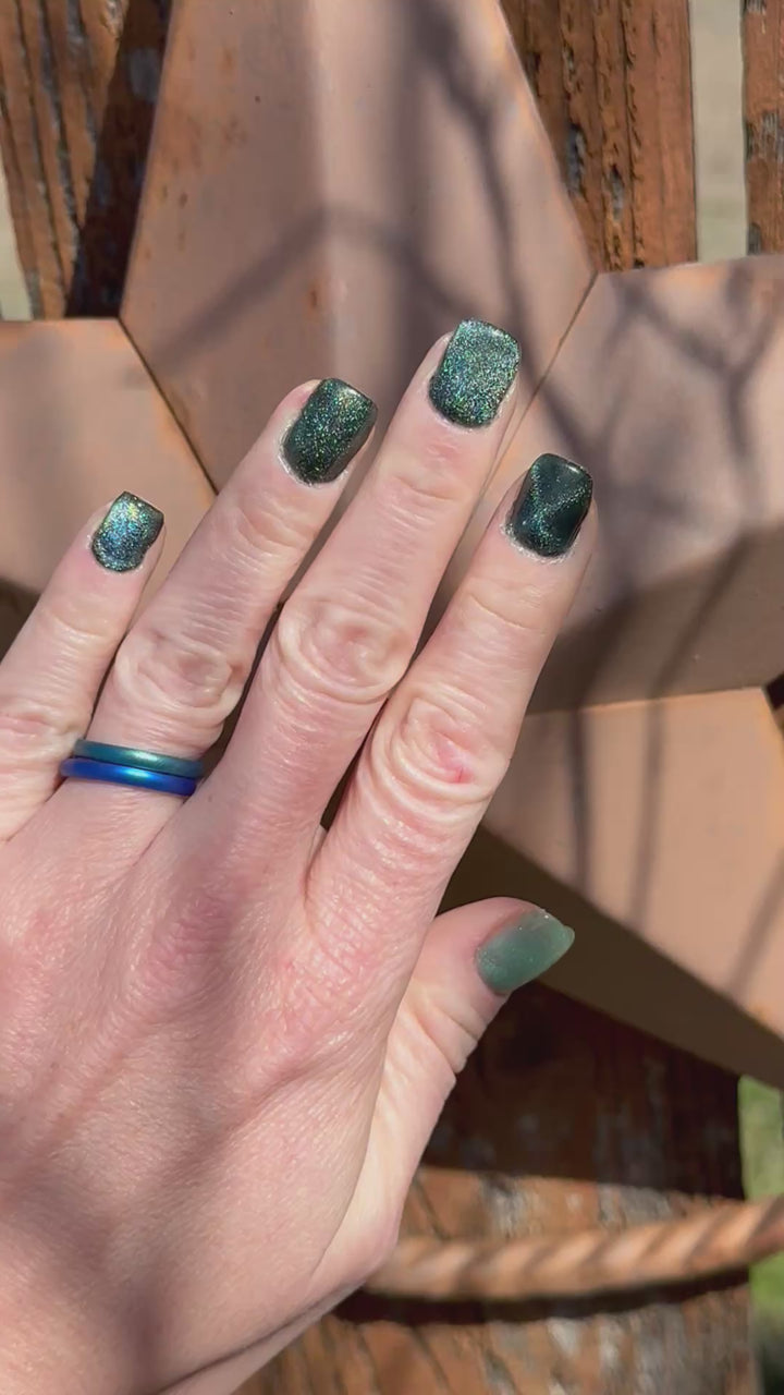 Hunted, Not Hiding (Magnetic) (Gel)