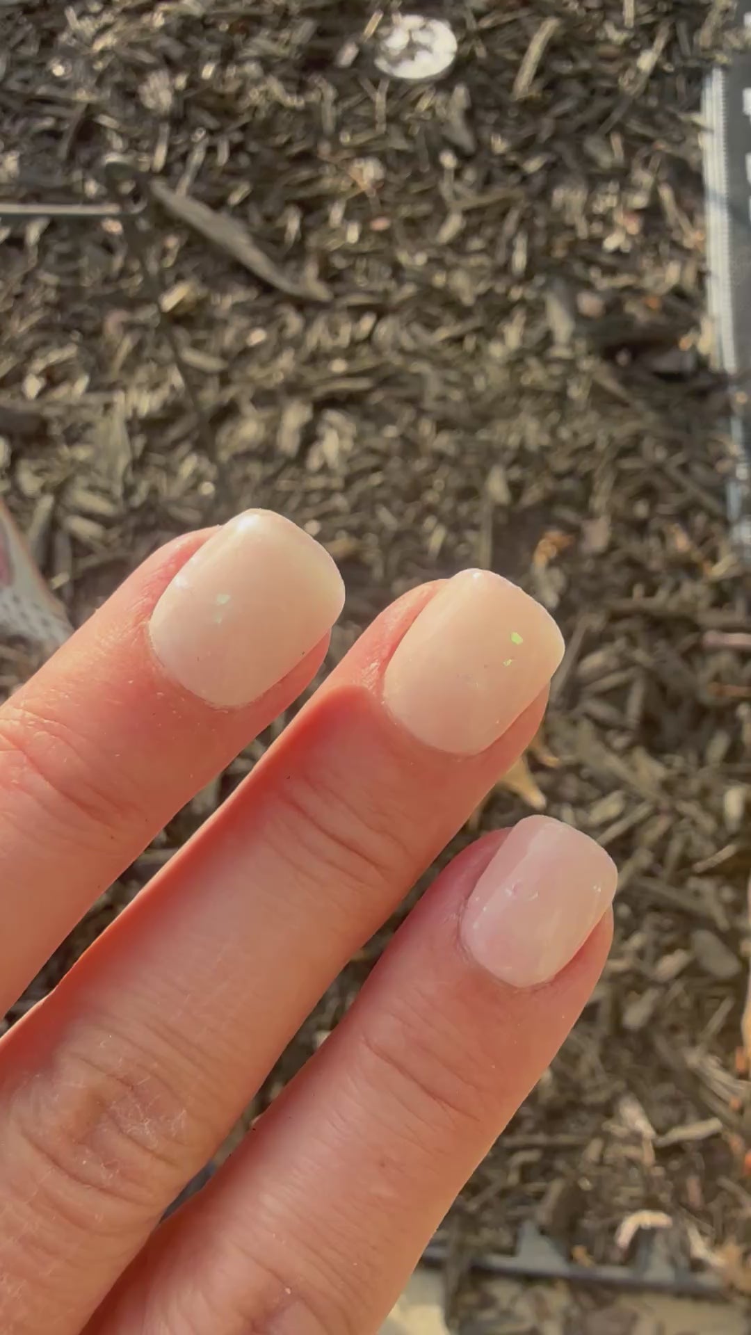 Snow Globe Dreams (Chrome)