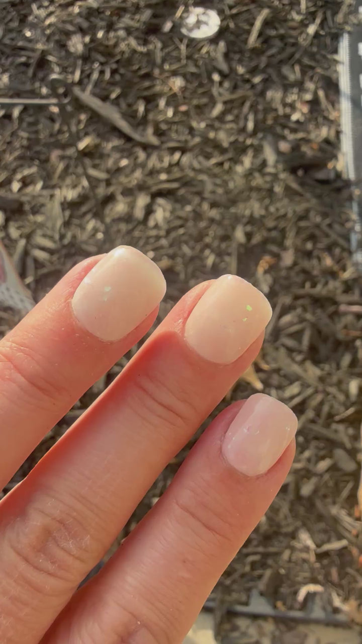 Snow Globe Dreams (Chrome)