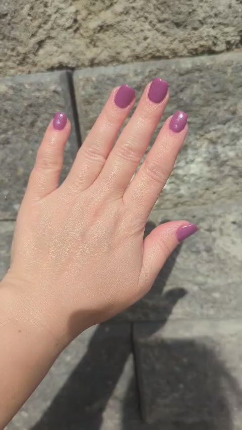 Haunted Happily Ever After