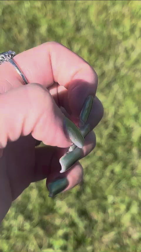 Dancing In December (Chrome)