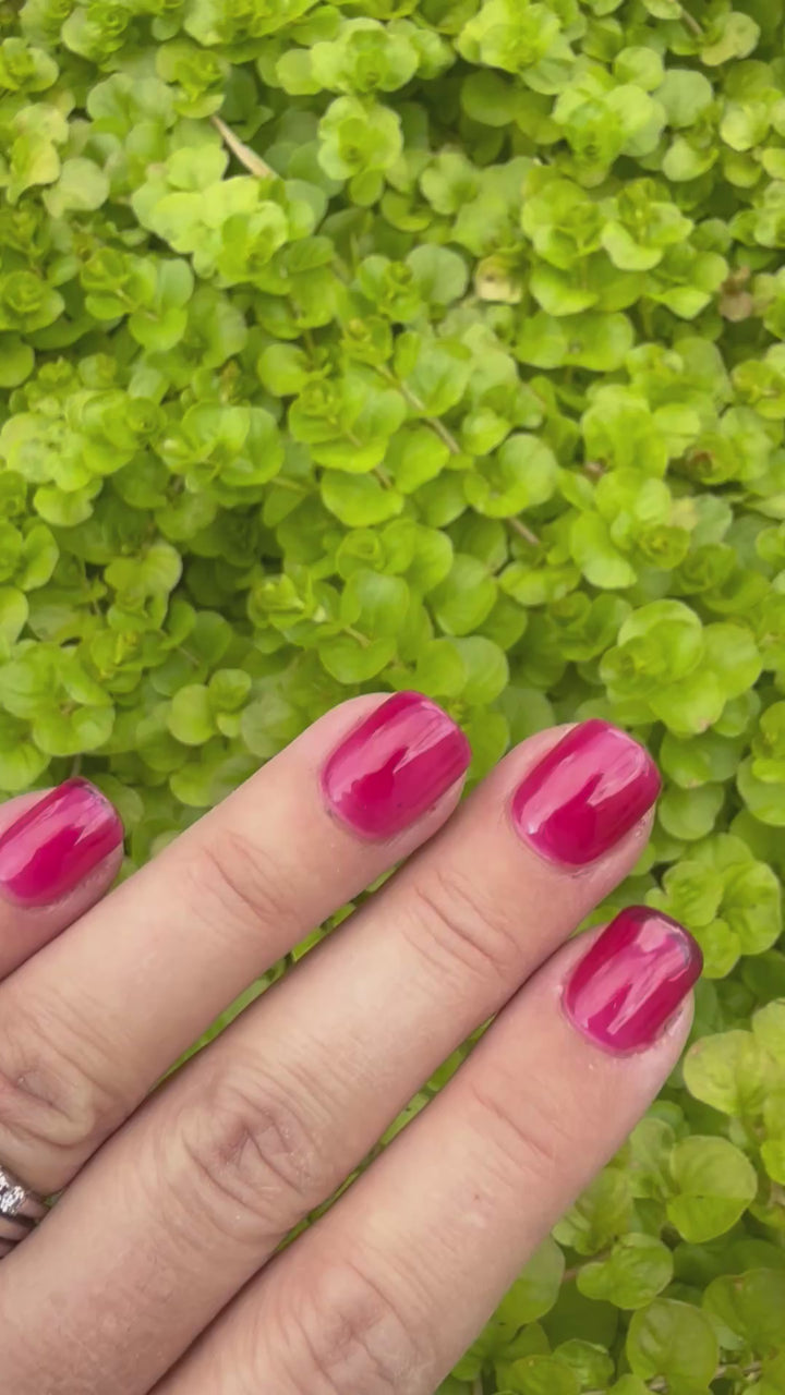 Gummy Goals (Gummy) (Gel)