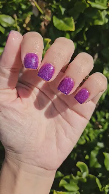 Enchanted Chill (Temp)