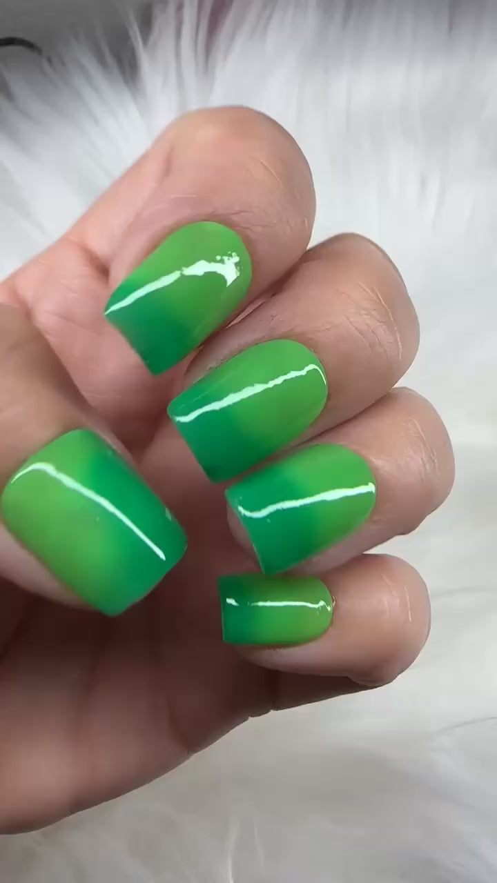 Rein-Dear Diary (Temp)