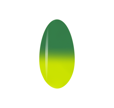 LIGHTEN UP (Thermal)