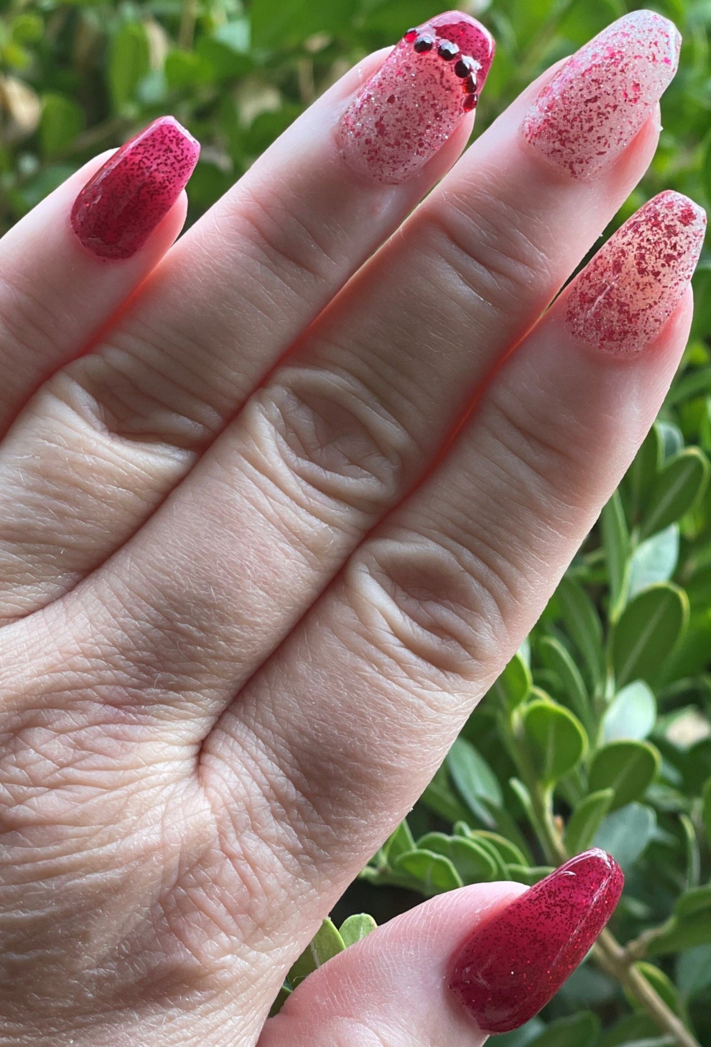 POINSETTIA LEAVES