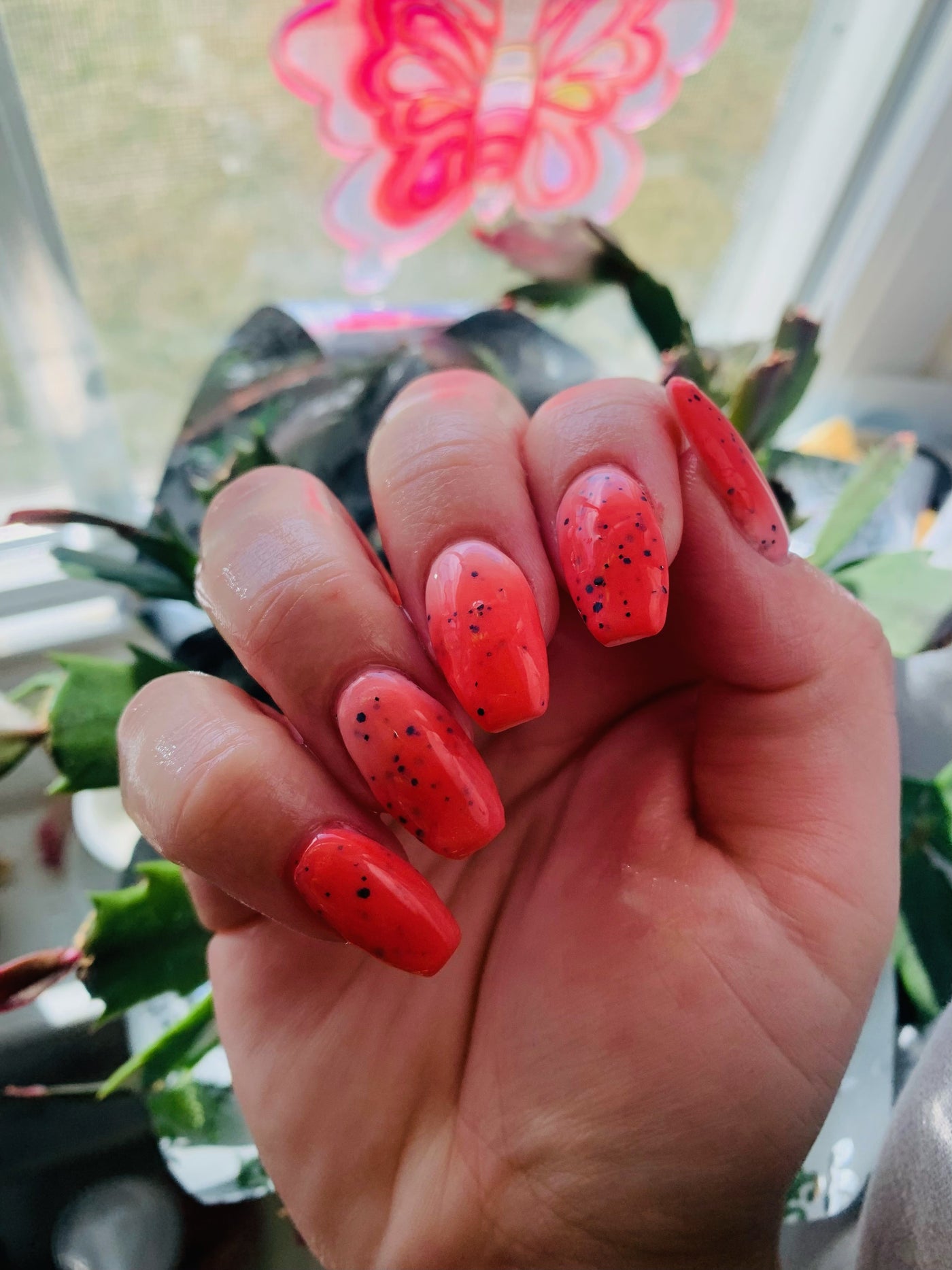 BIRDS & THE BEES (THERMAL)