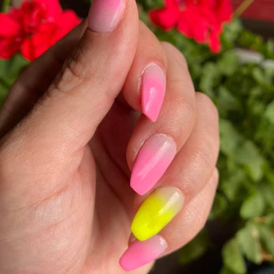 HIBISCUS - Peppi Gel