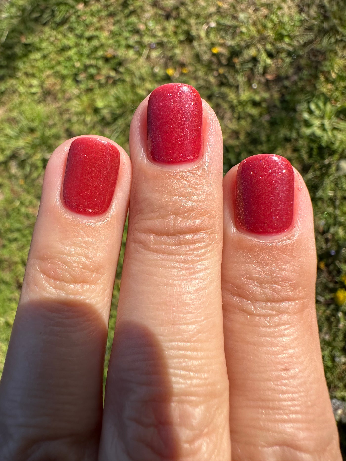 CRANBERRY SHIMMER (GEL)