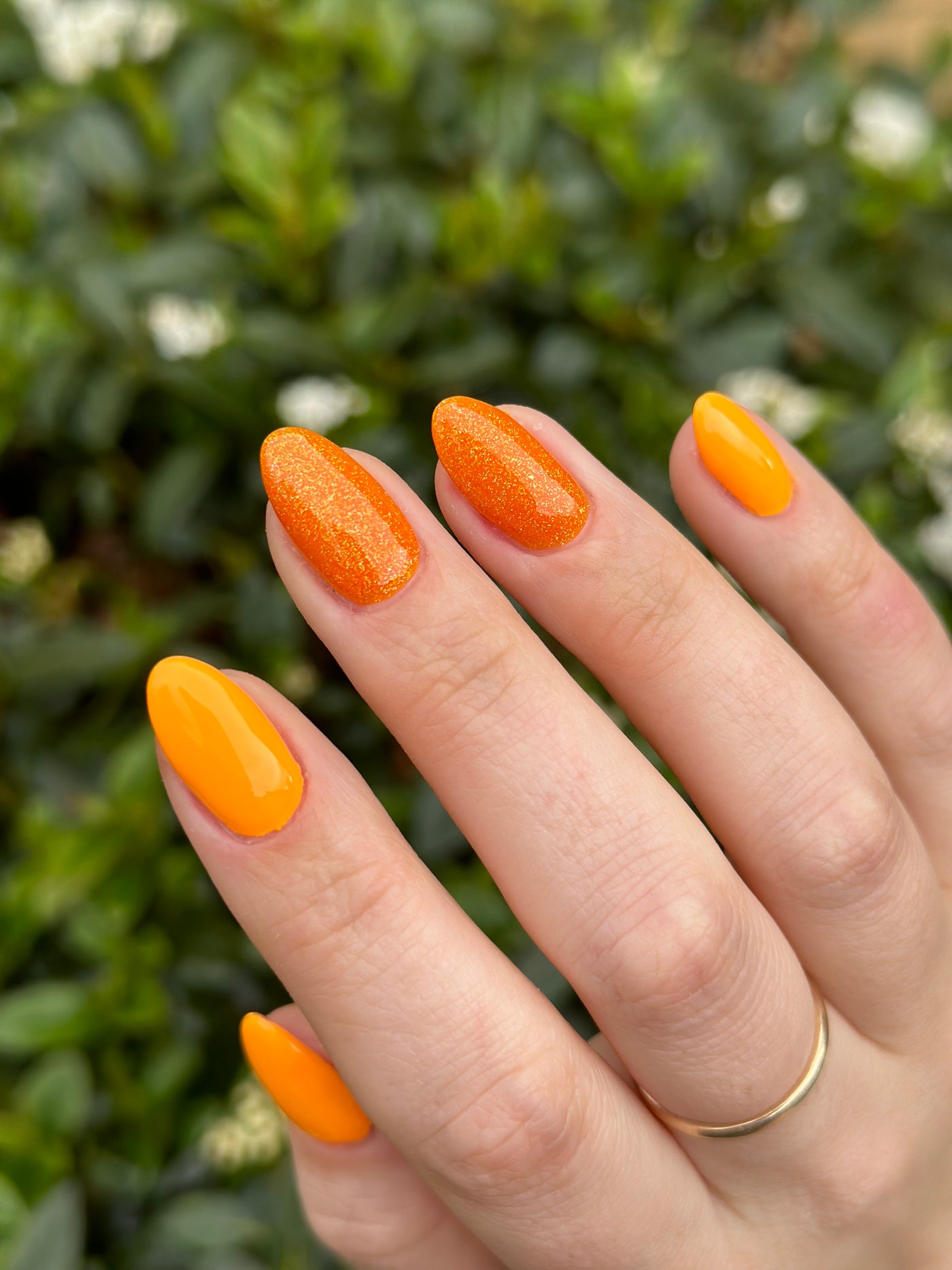 CINDERELLA'S PUMPKIN (GEL)