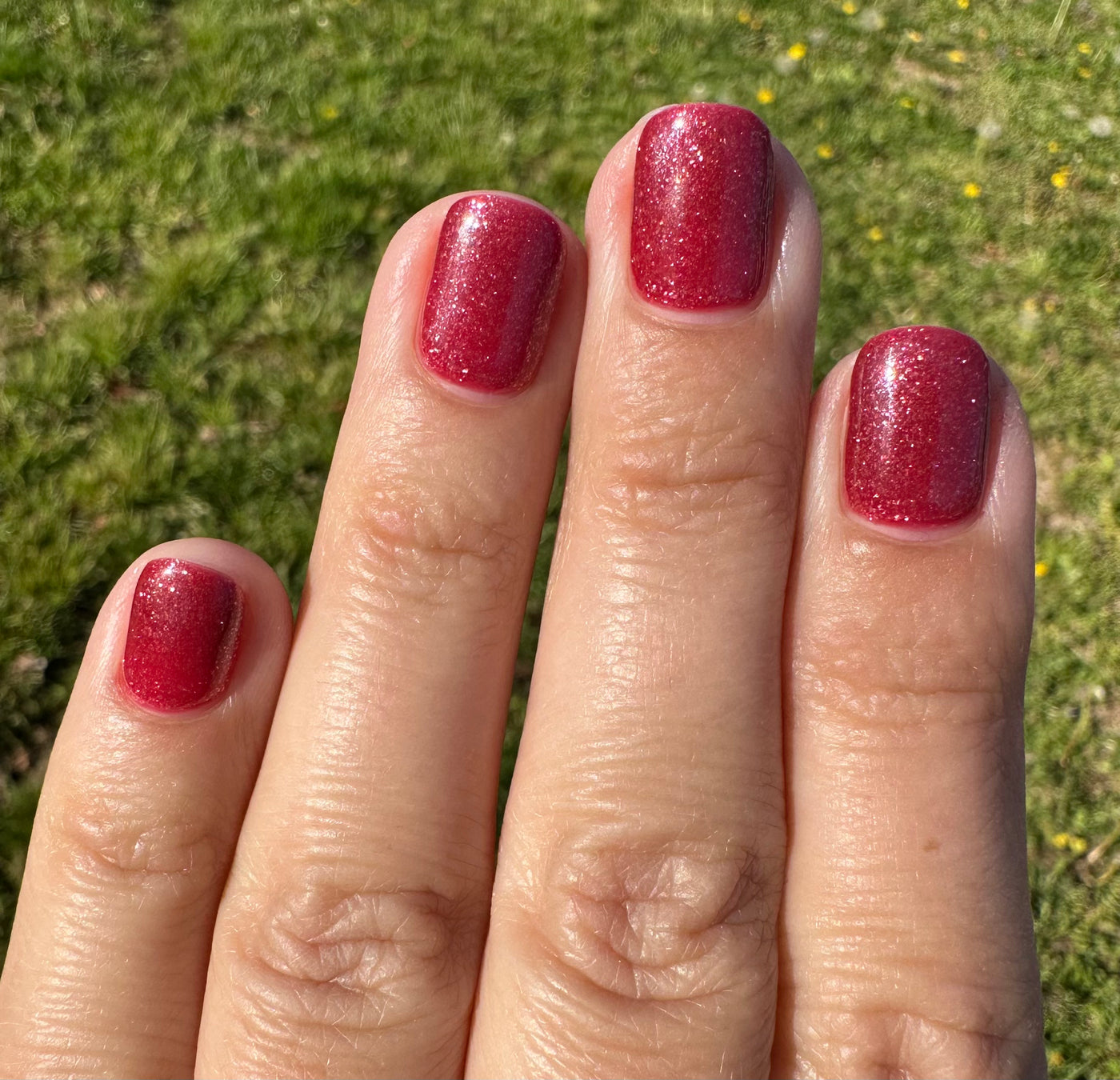 CRANBERRY SHIMMER (GEL)