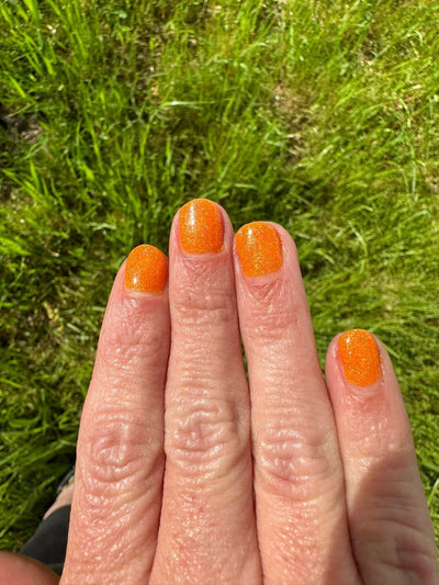 CINDERELLA'S PUMPKIN (GEL)